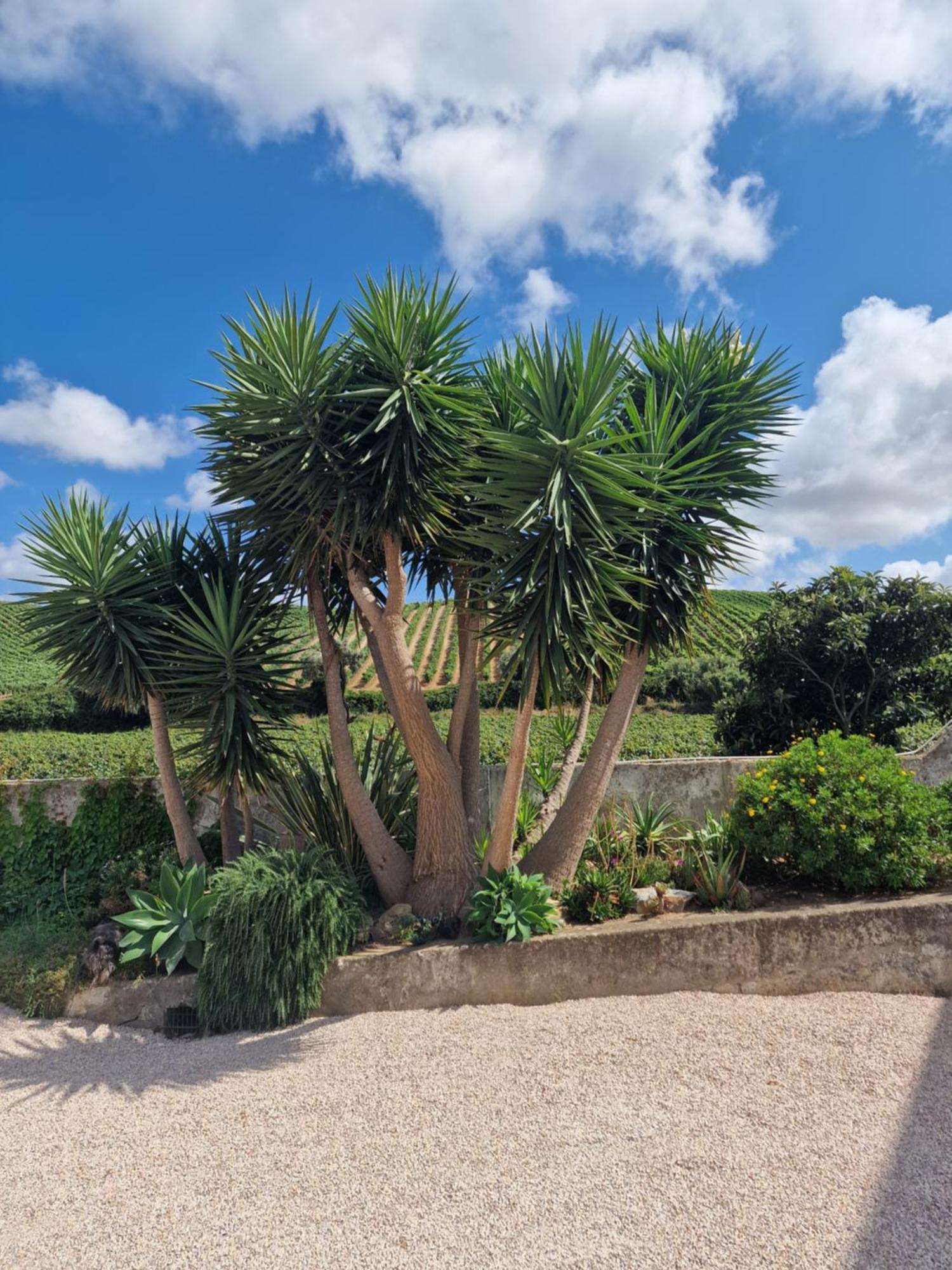 Casa Nikana Turcifal Bagian luar foto