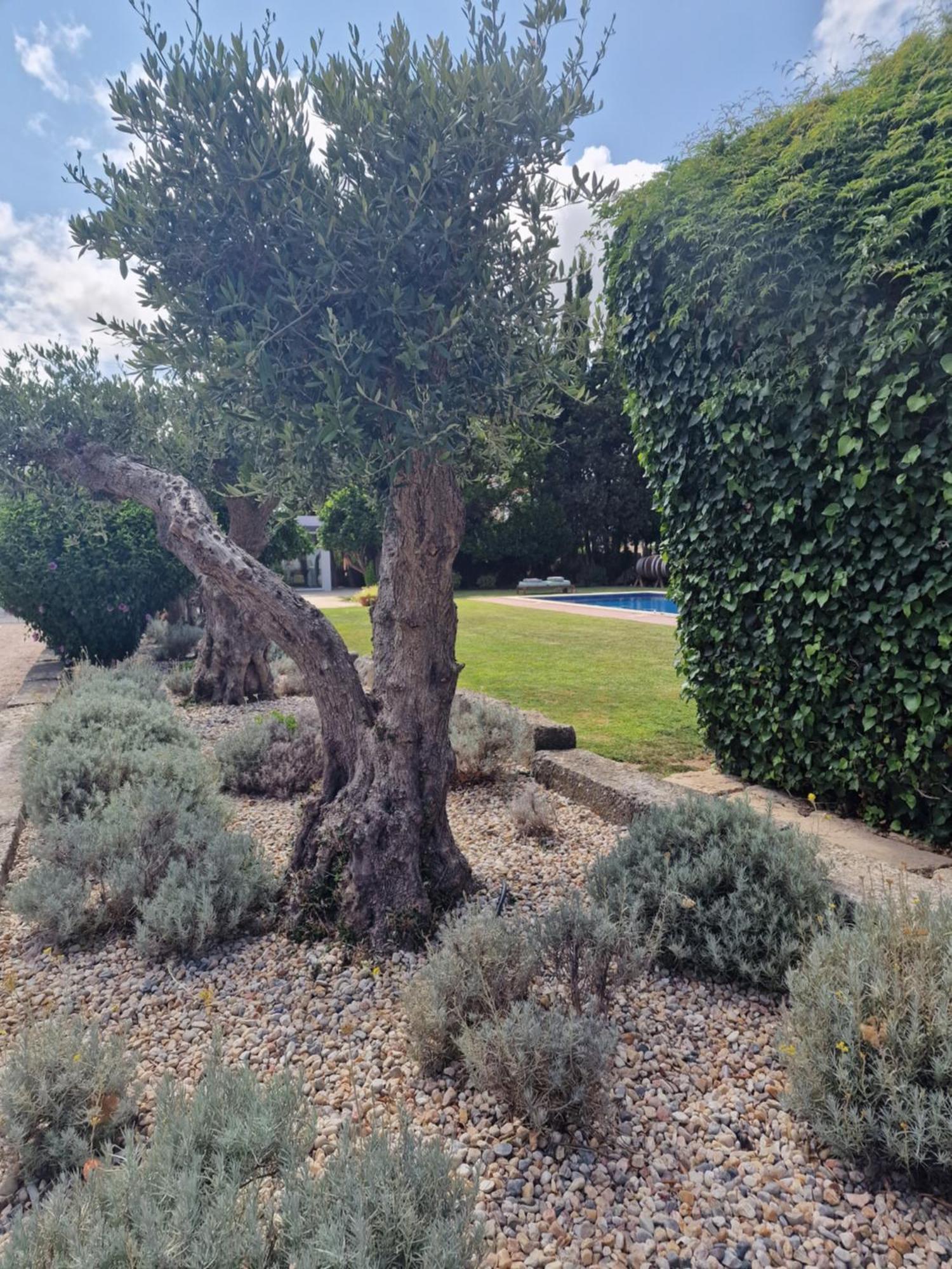 Casa Nikana Turcifal Bagian luar foto